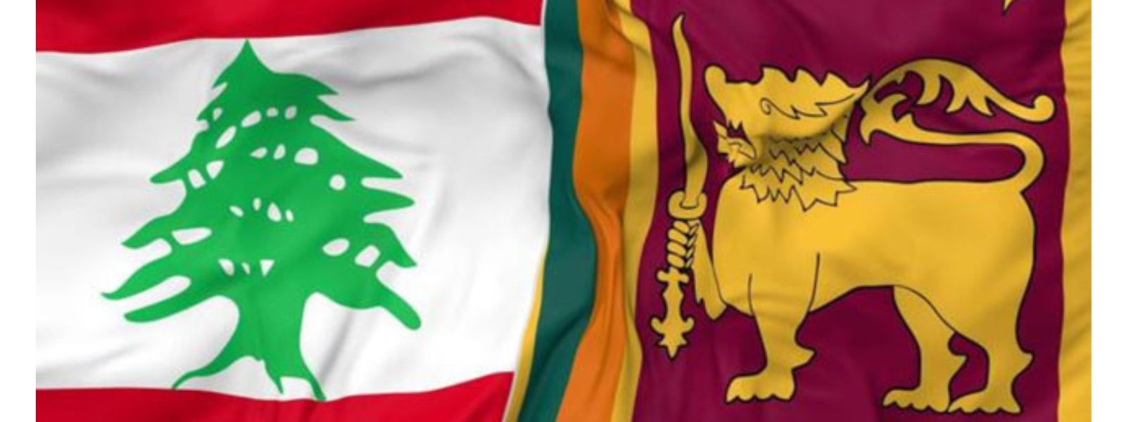 32 Sri Lankans Seek Refuge in Beirut